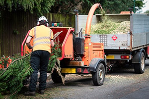 Using a Wood Chipper? Read This for Eleven Tips on Safe Use