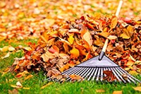 Ten Must-Follow Safety Tips for Raking Leaves 