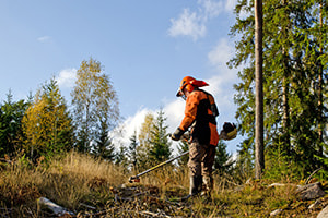 Working Outside? Tips to Protect Yourself Against Insect and Snake Bites