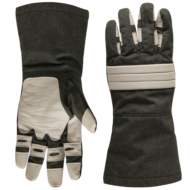 Picture of XP Max Gloves