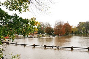 Photo of water flowing through a park