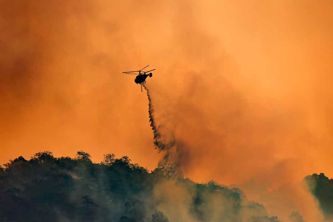 Wildfire 