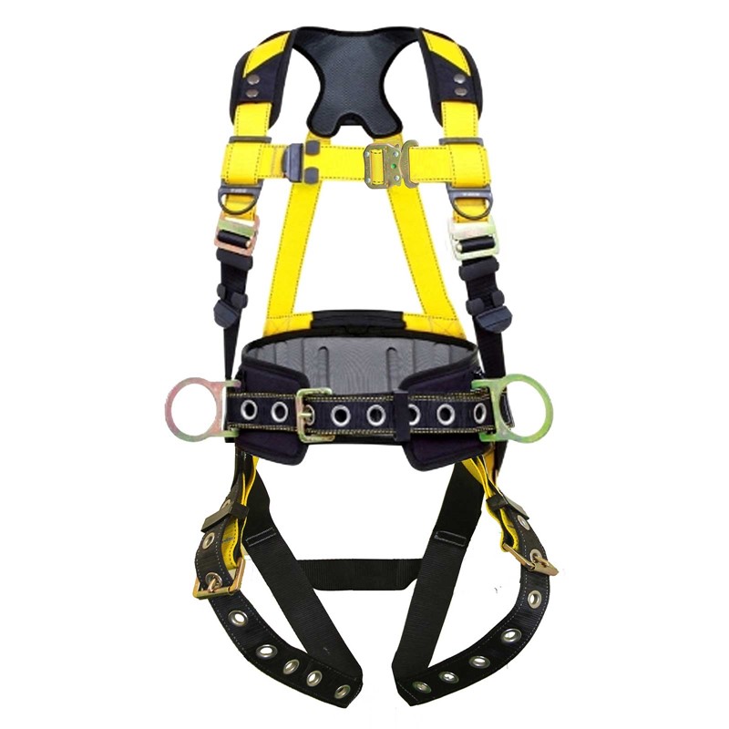 Harnesses 