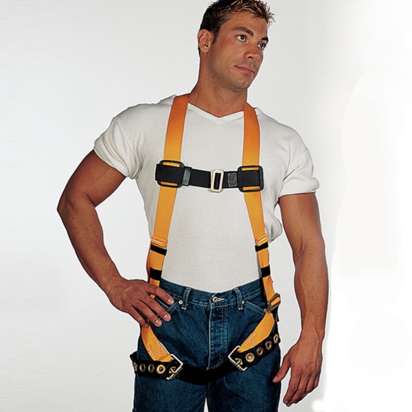 Titan™ Back D-Ring & Tongue Buckle Leg Straps Fall Protection Harness