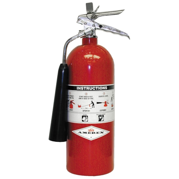 5 lb. Carbon Dioxide Fire Extinguisher with Wall Bracket