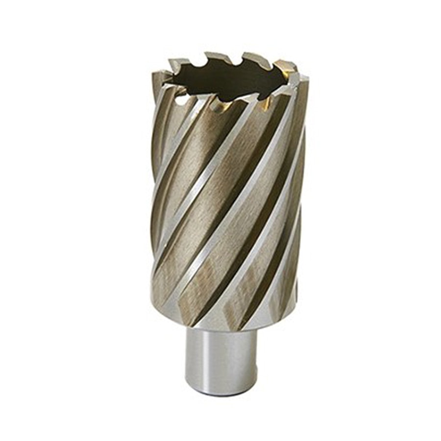 Standard Annular Cutter,  1 in Depth, 3/4 in Weldon Shank, M2 High Speed Steel, Bright