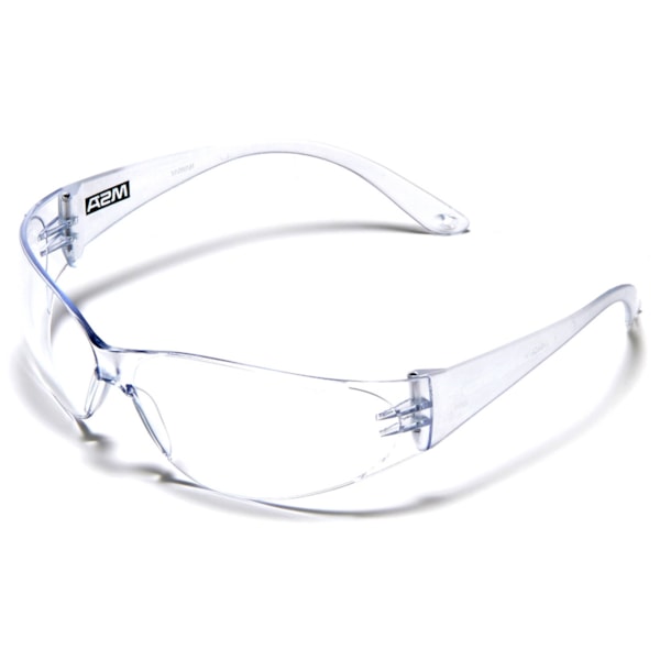 GLASSES ARCTIC CLR LENS 12/BX