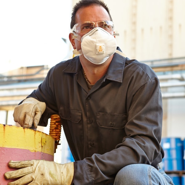 8233 N100 Exhalation Valve Disposable Respirator 
